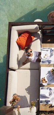 Chef cuisinier en bord de mer