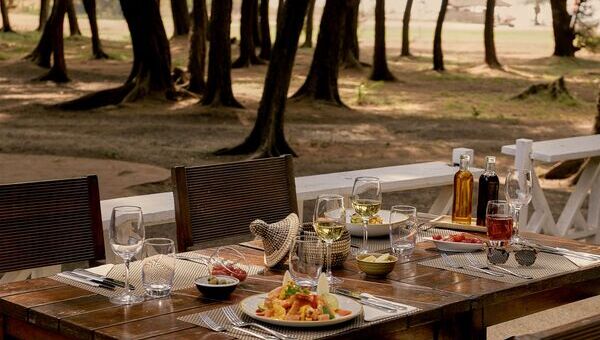 Tables et chaises dans un restaurant vue mer