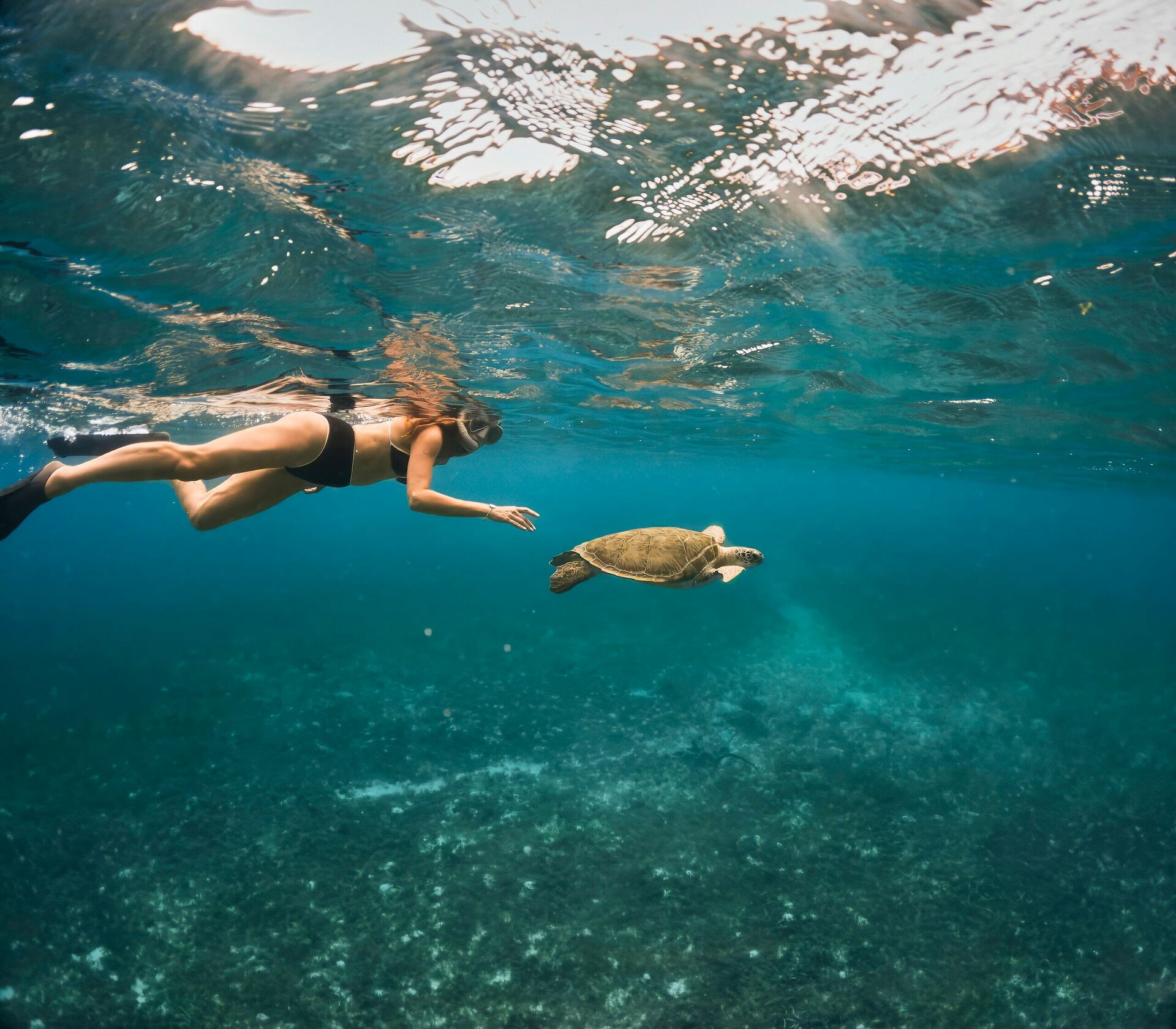 snorkeling CaraÏbies