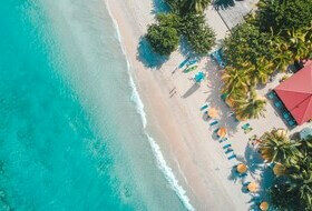 Plage avec palmiers aux Caraïbes