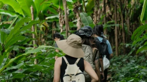 Groupe de voyageurs dans la jungle