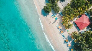 Vue aérienne d'une plage avec eau turquoise et palmiers