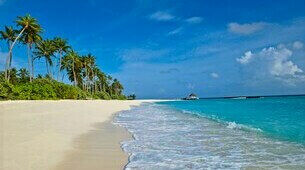Plage de sable blanc avec palmiers