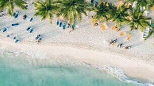 Vue aérienne d'une plage avec palmiers