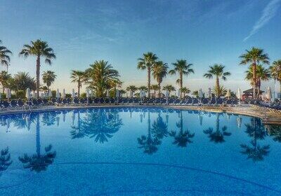 Piscine avec palmiers
