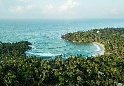 Plage et arbres au Sri Lanka