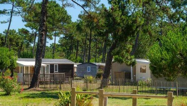 Mobilhomes entourés d'arbres
