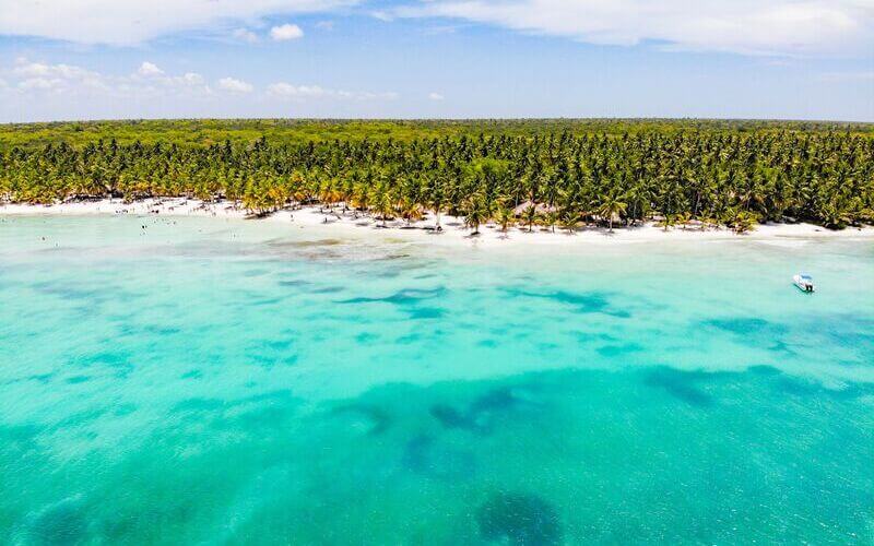Plage des Caraïbes et palmiers