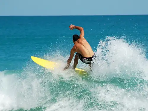 Surfeur sur une vague