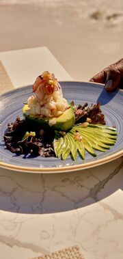 Assiette avec avocat