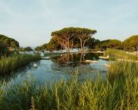 Resort Club Med Portugal avec des pins