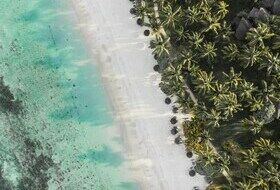 Vue aérienne d'une plage avec eau turquoise