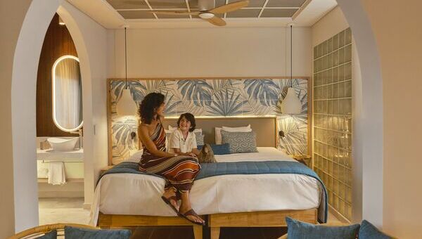 Maisons avec toits bleus à Santorin