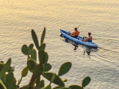 Couple dans un canoë avec un cactus en premier plan