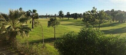 Golf avec palmiers à Granada
