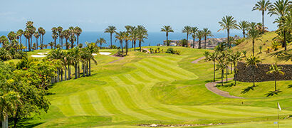 Golf avec palmiers à Grande Canarie