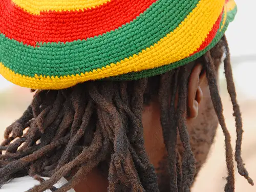 Homme rasta