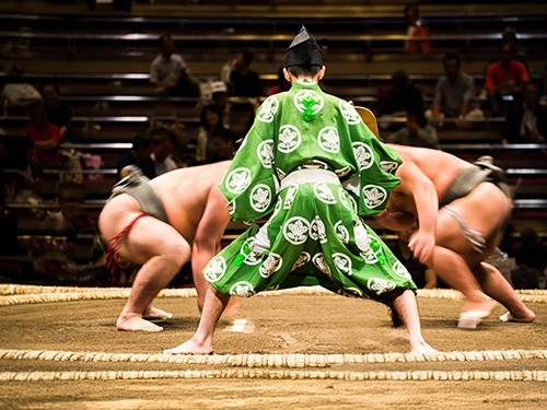Combat de sumos