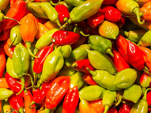 Piments verts et rouges