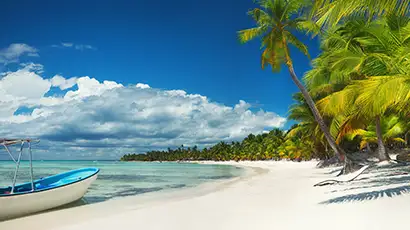 Plage de sable blanc avec palmmiers