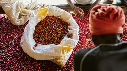 Sacs avec grains de café