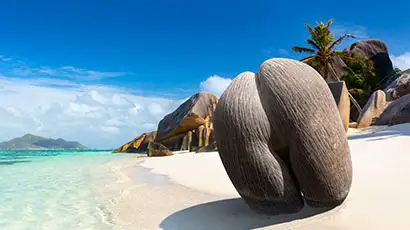 Plage de sable blanc avec eau turquoise et palmier