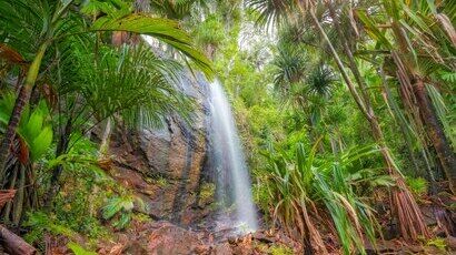 Cascade entourée de végétation dans la Vallée de Mai