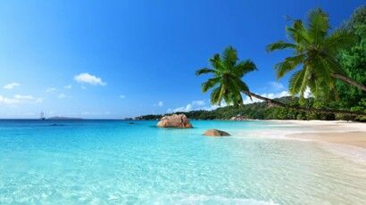 Plage de sable blanc avec eau turquoise et palmier
