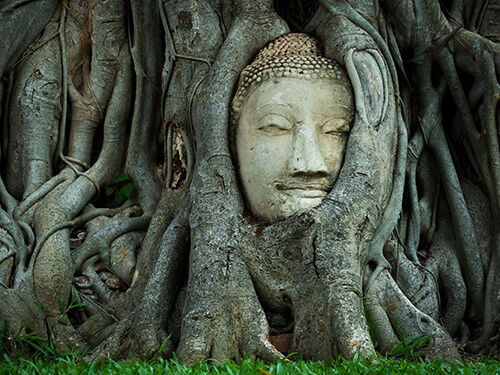 Masque de Bouddha dans un tronc d'arbre