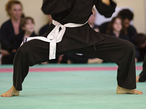 Pratique de l'art martial Vovinam