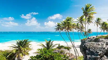 Plage de sable blanc avec palmiers