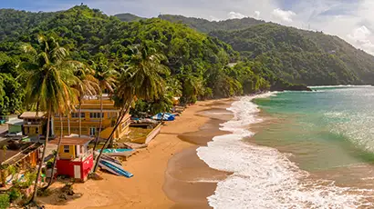 Plage sauvage avec palmiers