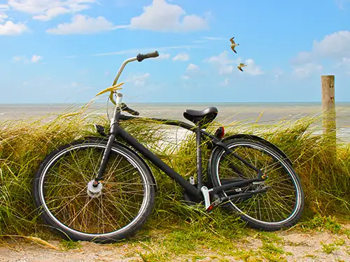 Vélo au bord de la mer avec herbes