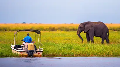Homme dans un petit bateau qui regarde un éléphant