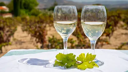 Verres sur une table dans les vignes