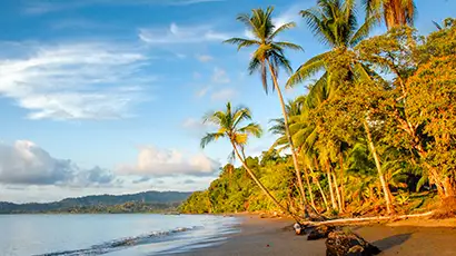 Singes dans les sources d'eau chaude