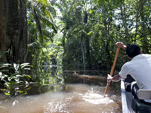 Homme dans une barque qui rame au milieu de la forêt