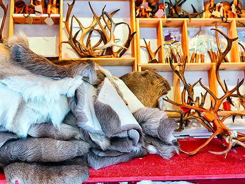 Bois de rennes dans une boutique