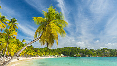 Plage de sable blanc avec palmier