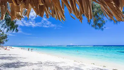 Plage de sable blanc avec palmier