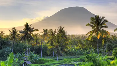 Nature avec palmiers et montagne en arrière plan