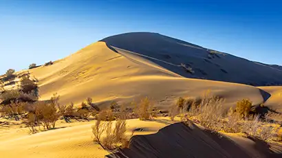 Dunes de sable