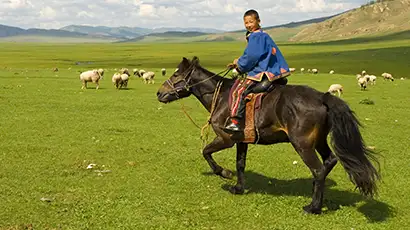 Enfant sur un cheval dans un grand espace vert