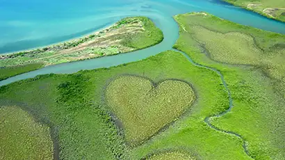 Forme de coeur dans la nature verdoyante
