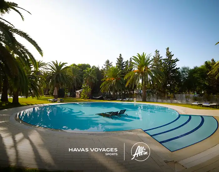 Piscine et palmiers