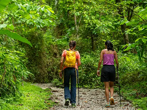 Deux femmes sur un chemin de randonnée dans la jungle