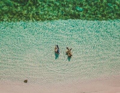 Couple plongée vue aérienne