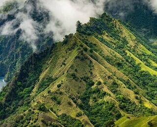 nature en Polynésie