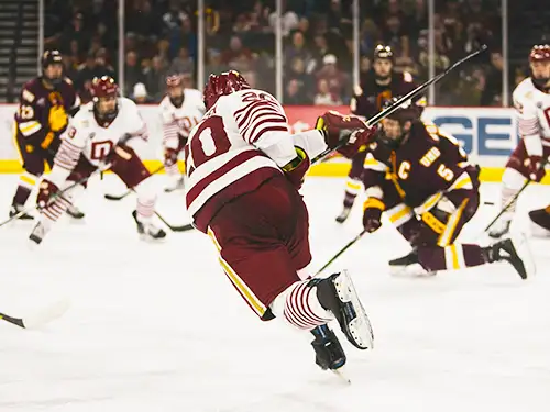 Joueurs de hockey sur glace