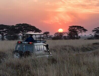 Tanzanie voyage sur mesure